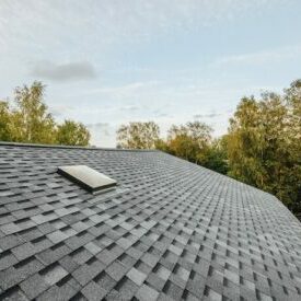 New roof with skylights